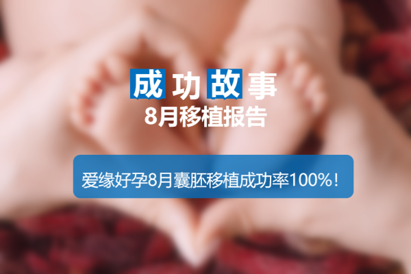 爱缘好孕8月移植简报|移植成功率100%