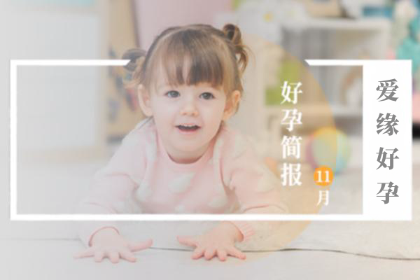 爱缘好孕:11月代孕简报