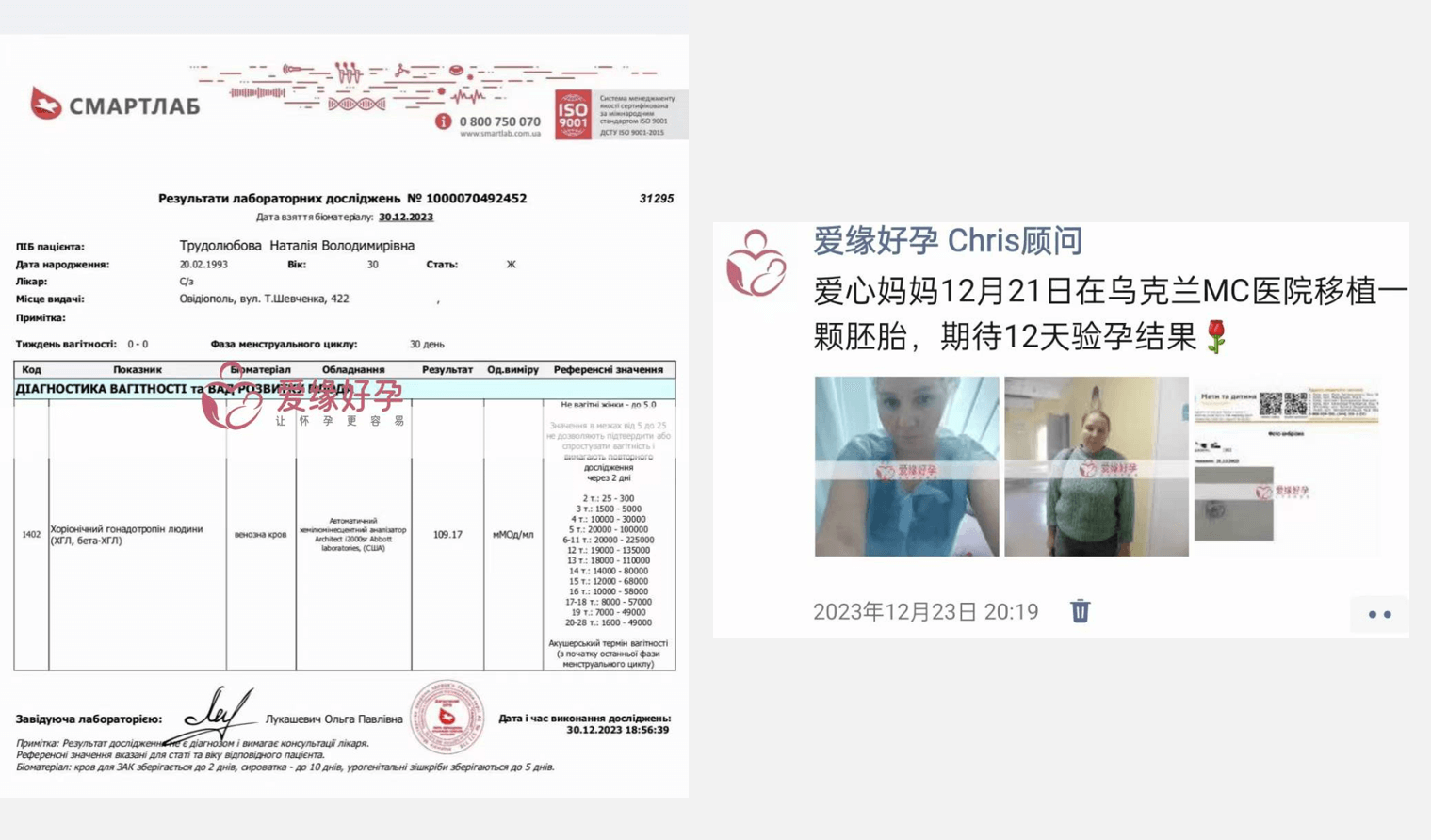 爱缘好孕:12月代孕好孕简报