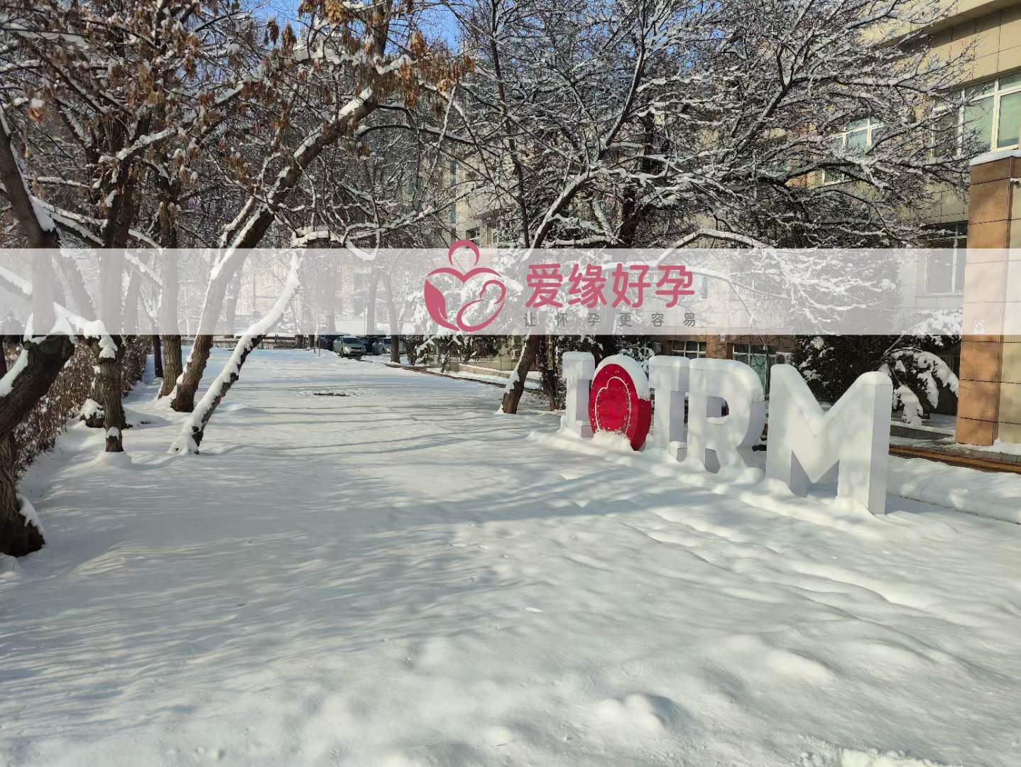 哈萨克斯坦代孕小伙伴陪同委托父母面诊