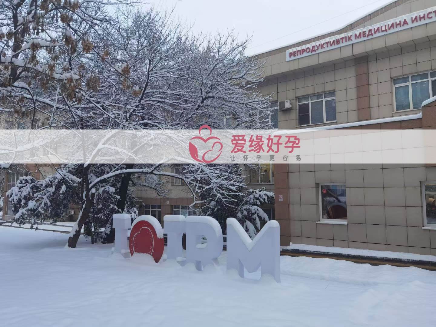 哈萨克斯坦代孕小伙伴陪同委托父母面诊