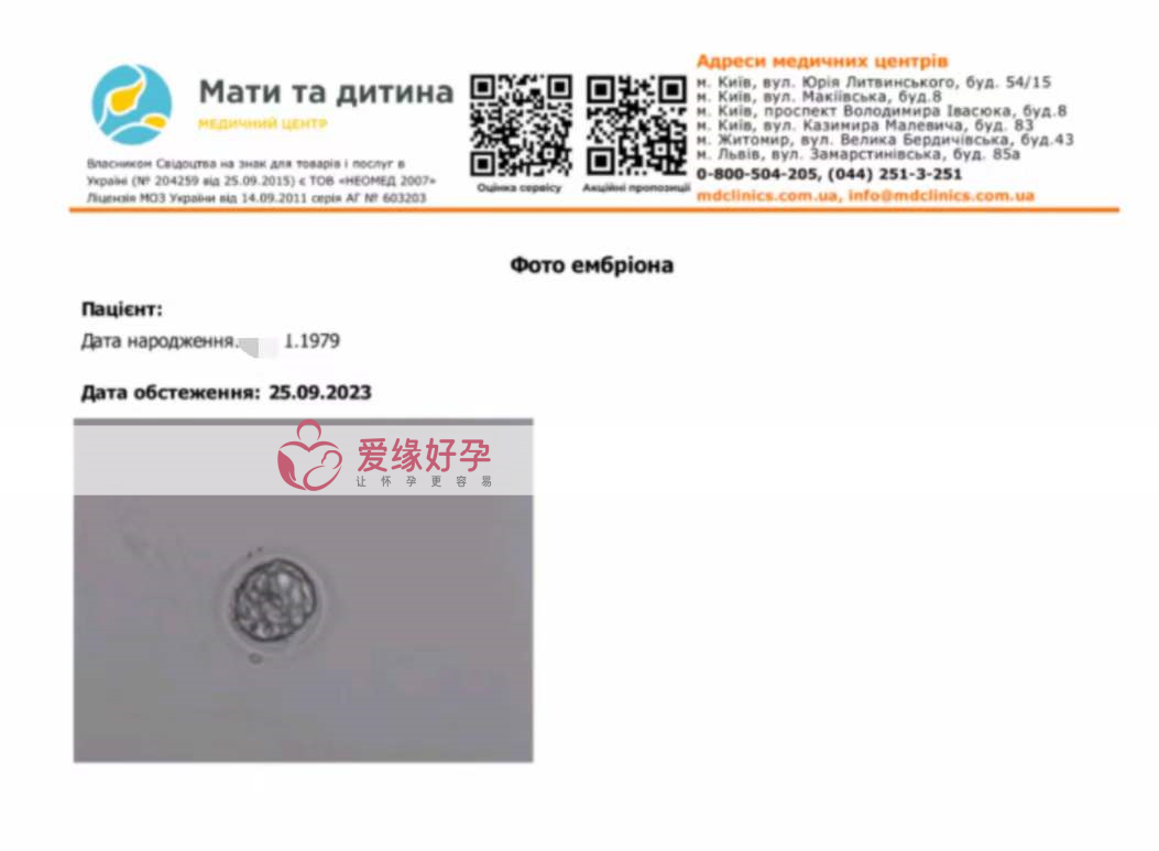 乌克兰代孕代孕代母今天移植了一颗来自日本的胚胎