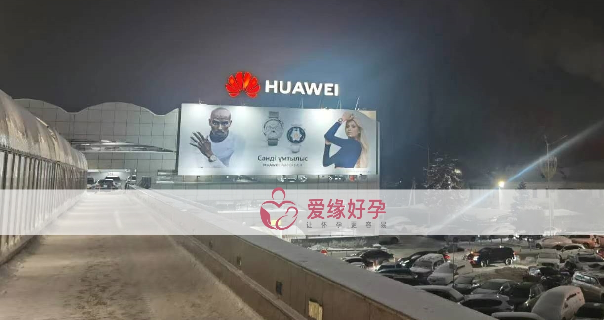 哈萨克斯坦代孕团队小伙伴接机中国委托客户