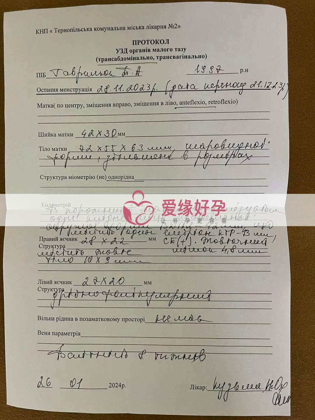 代孕代孕代母7周产检顺利通过