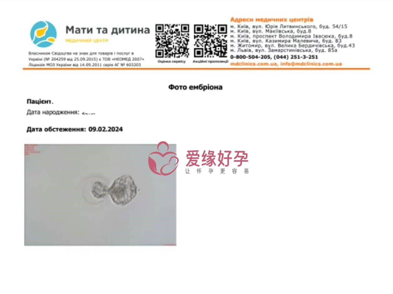 试管婴儿助代母妈今天移植一颗囊胚