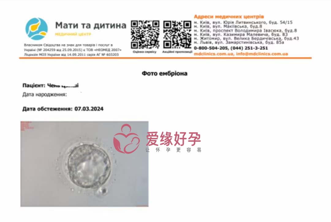代孕代孕代母今天了移植一颗囊胚