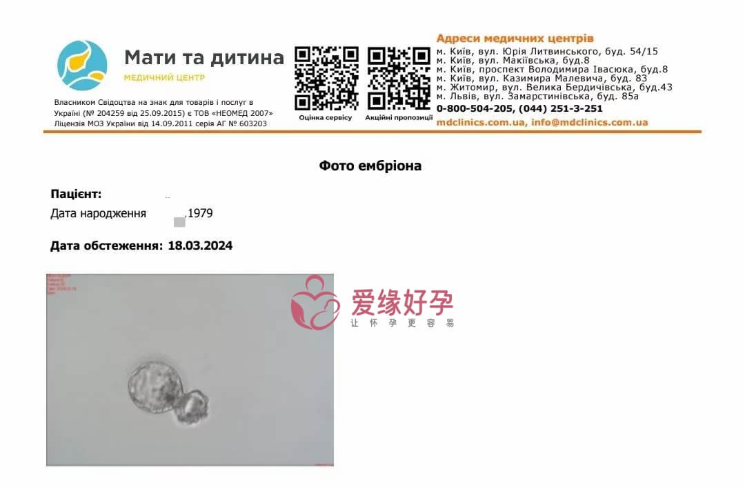 试管婴儿助代母妈今天移植一颗囊胚