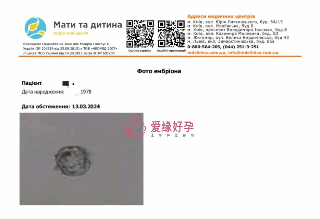 试管婴儿助代母妈今天移植一颗囊胚