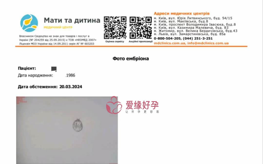 试管婴儿助代母妈今天移植一颗囊胚