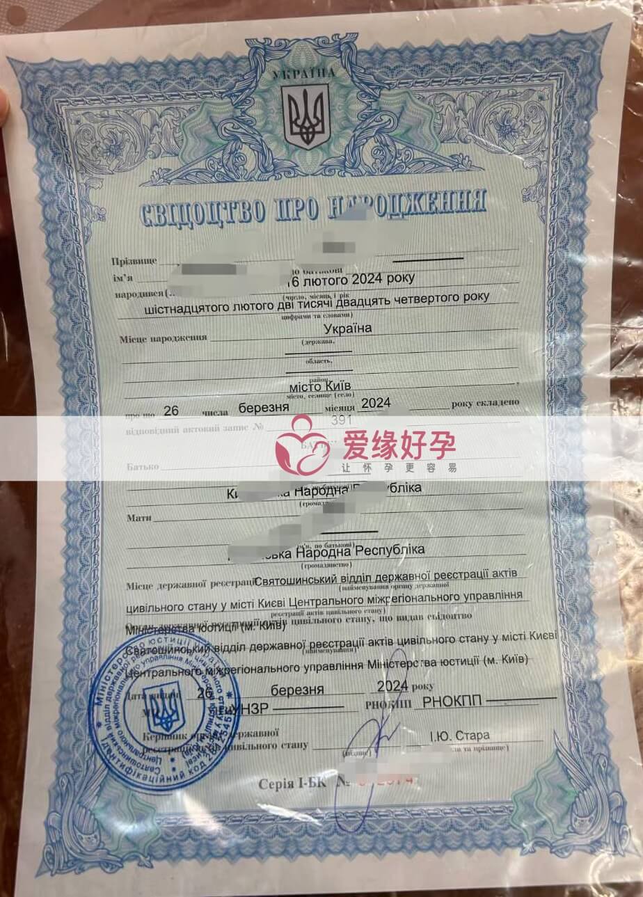 代孕宝宝护照办理完成可以回国拉