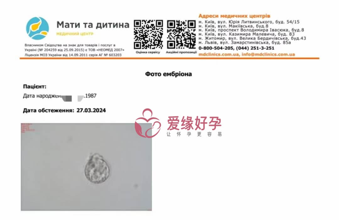 代孕代孕代母移植一颗囊胚