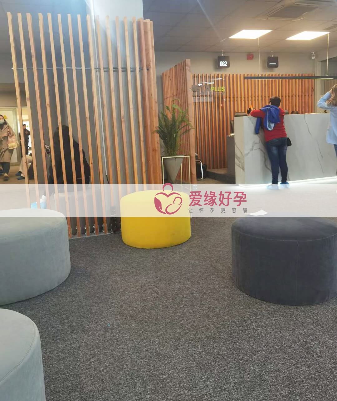 格鲁吉亚代孕委托父母在Betaplus医院体检