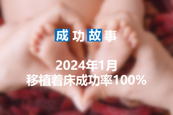 爱缘好孕2024年1月移植着床率案例统计
