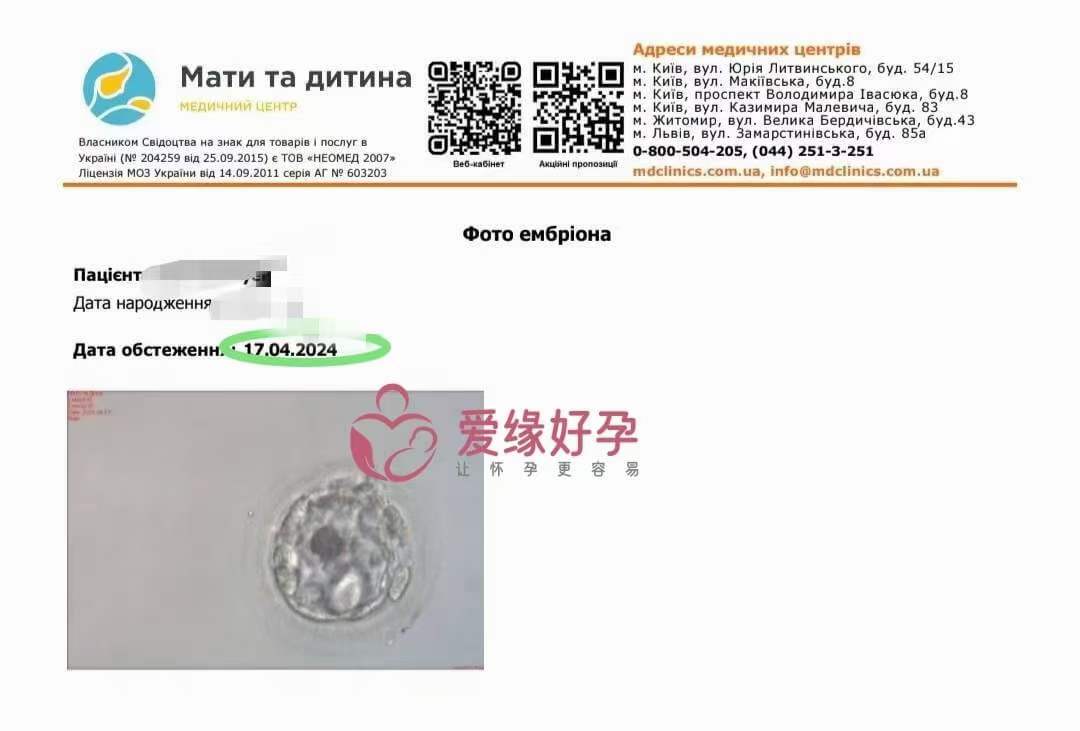 爱缘好孕：乌克兰代孕代母今天移植了一颗囊胚