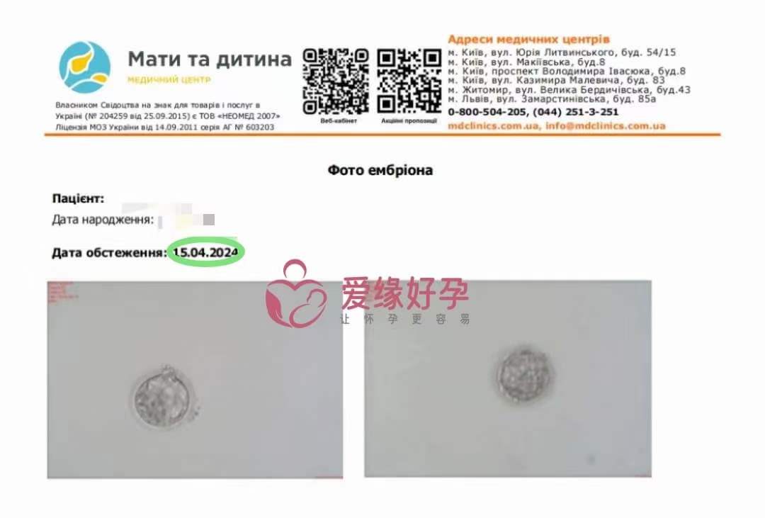 爱缘好孕：乌克兰代孕代母今天移植了2颗囊胚