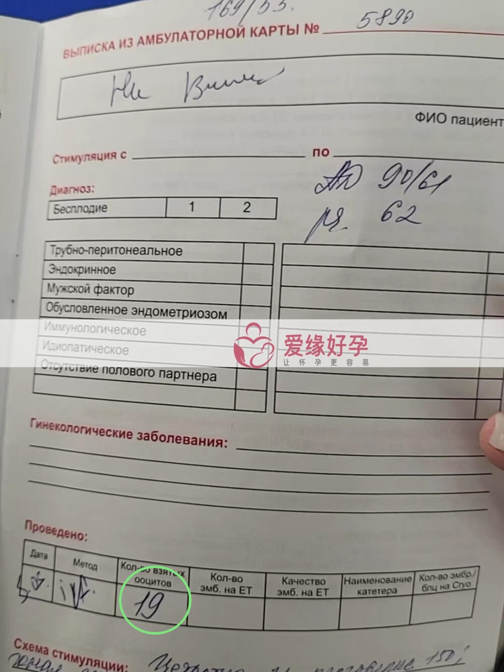 爱缘好孕:N女士哈萨克斯坦成功取卵19颗