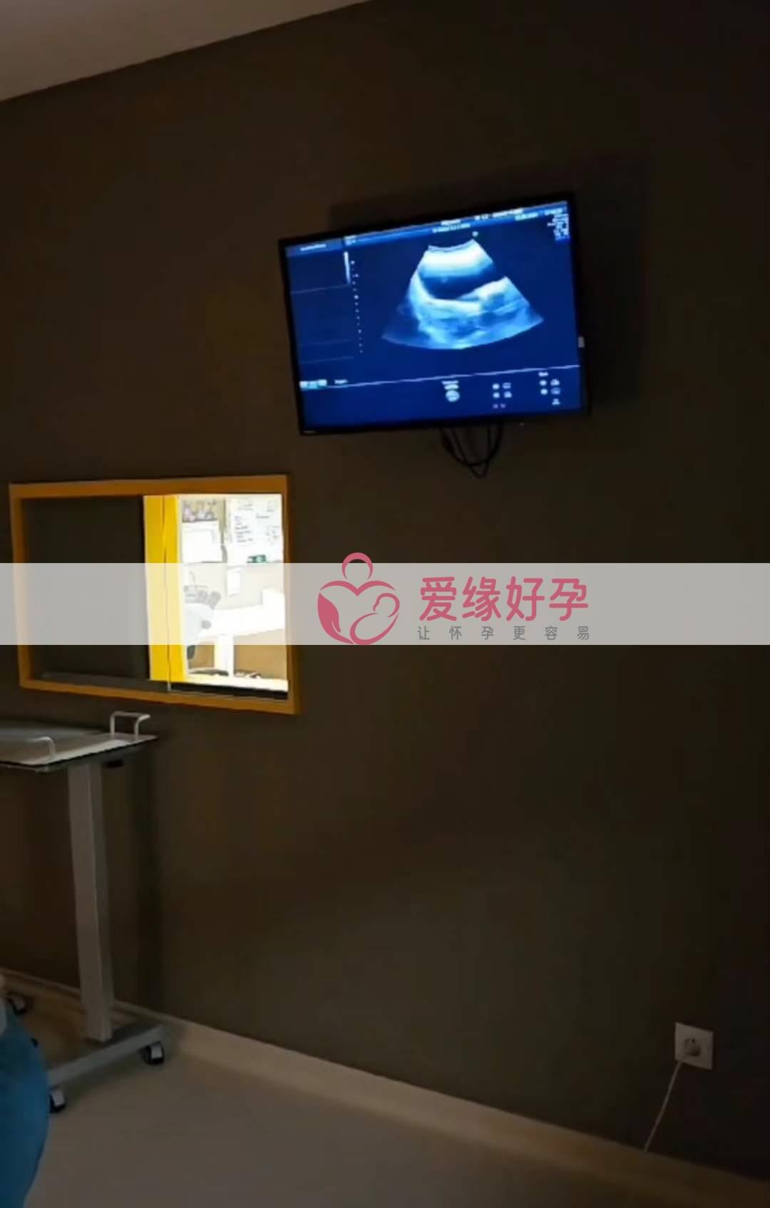 爱缘好孕:格鲁吉亚代孕代母今天移植了一颗囊胚