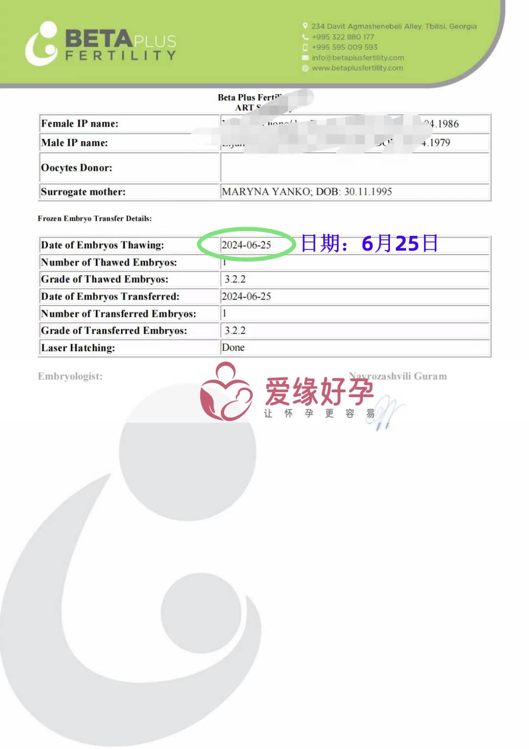 爱缘好孕格鲁吉亚代孕代母顺利完成移植