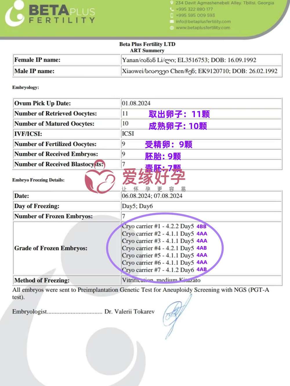 爱缘好孕格鲁吉亚自卵客户10颗卵子养囊得到7个囊胚！