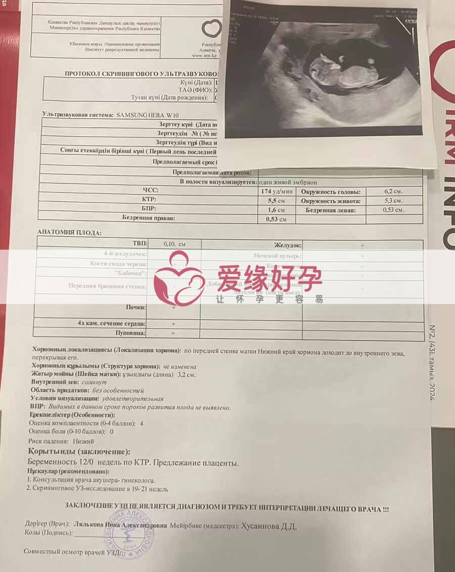 爱缘好孕哈萨克斯坦代孕代母NT产检通过！