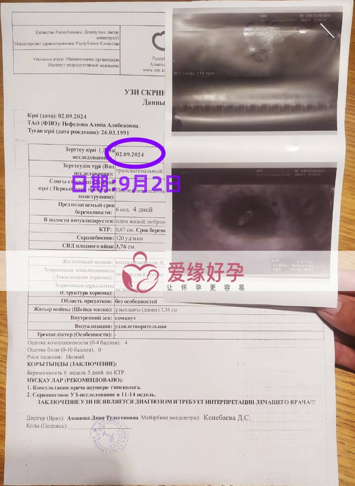 哈萨克斯坦恩泽ENZE代孕代母孕6周产检完成！