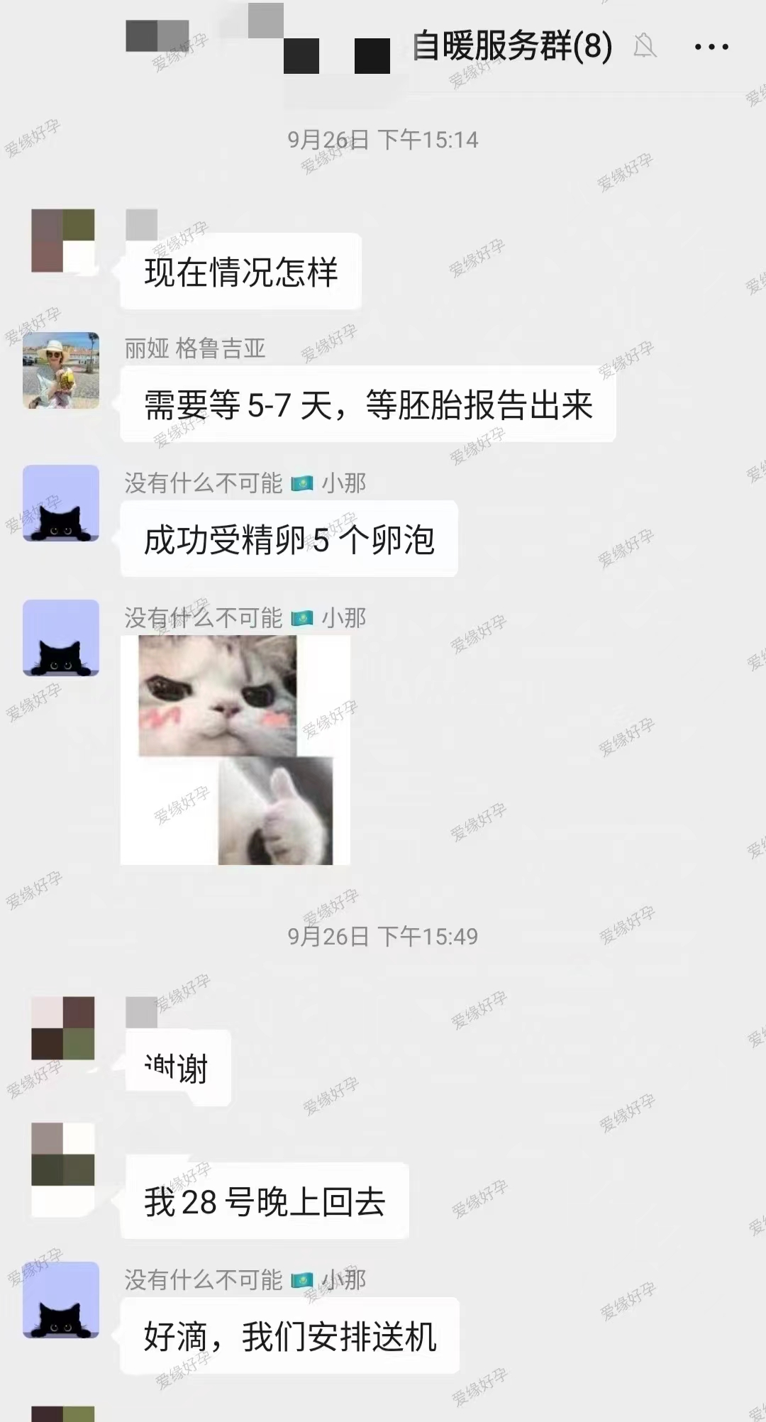恭喜43岁Z女士在betaplus医院促排得到5个受精卵，最终养成3个囊胚（4AB/4BB/4BB）