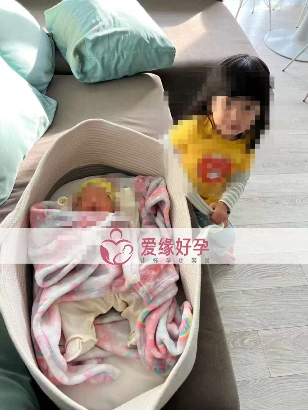 来自宝岛台湾的自卵委托父母来接宝宝啦