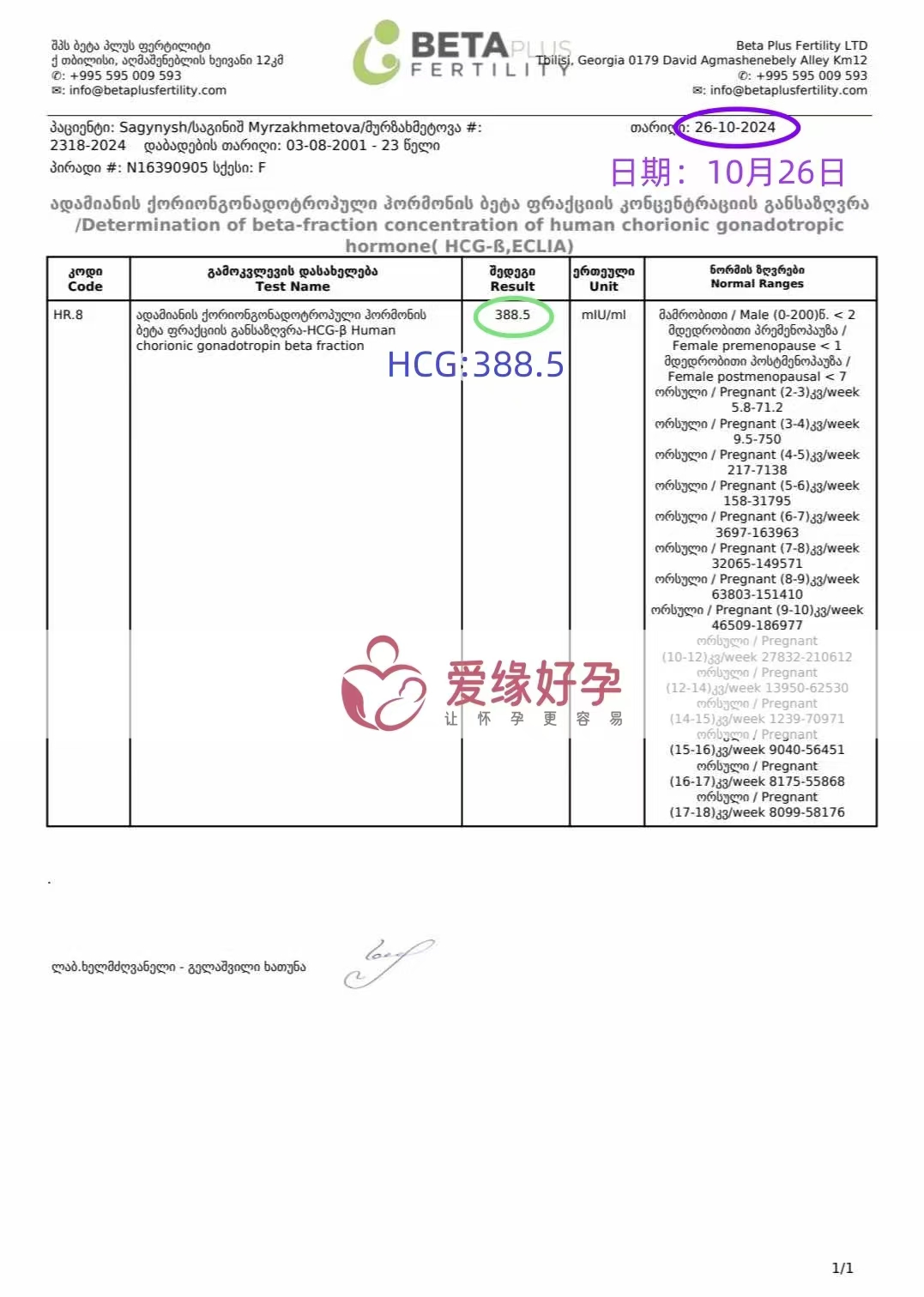 恭喜格鲁吉亚代孕代母验孕成功，血值388