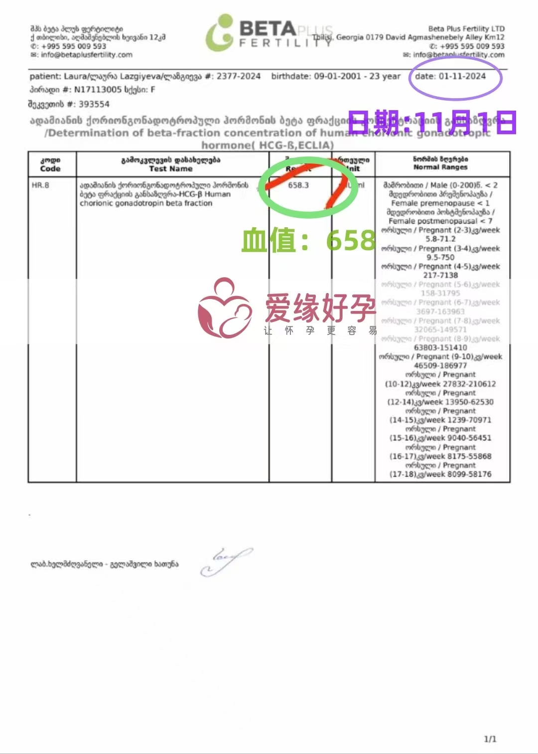 格鲁吉亚代孕代母验孕成功，血值658