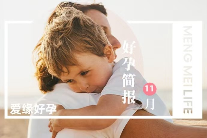 好孕简报 | 2024年11月宝宝汇总