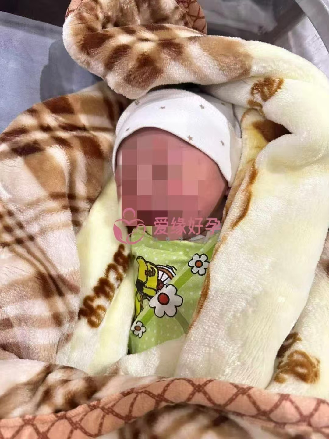 哈萨克斯坦代孕代母历时12个月自卵成功得子