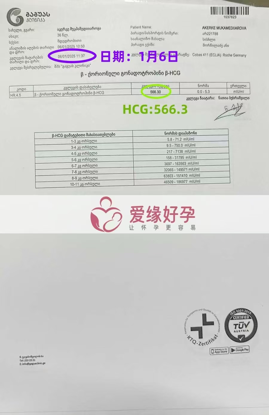 格鲁吉亚代孕代母验孕成功