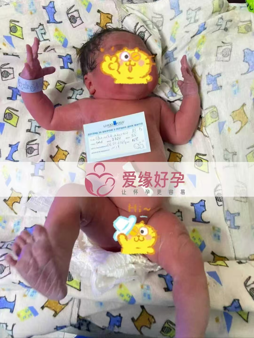 乌克兰代孕代母顺利生下小公主一枚