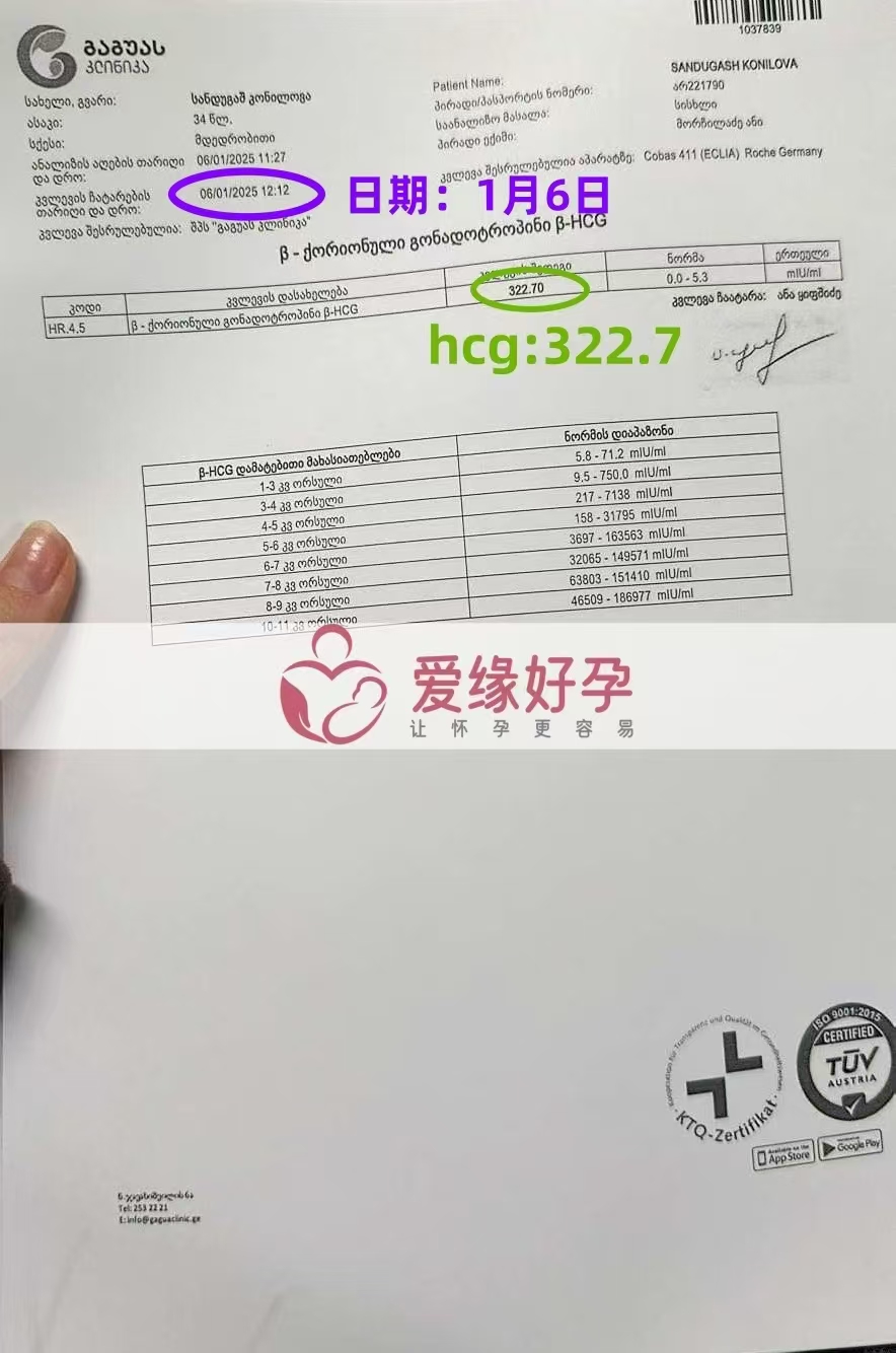 格鲁吉亚代孕代母验孕成功