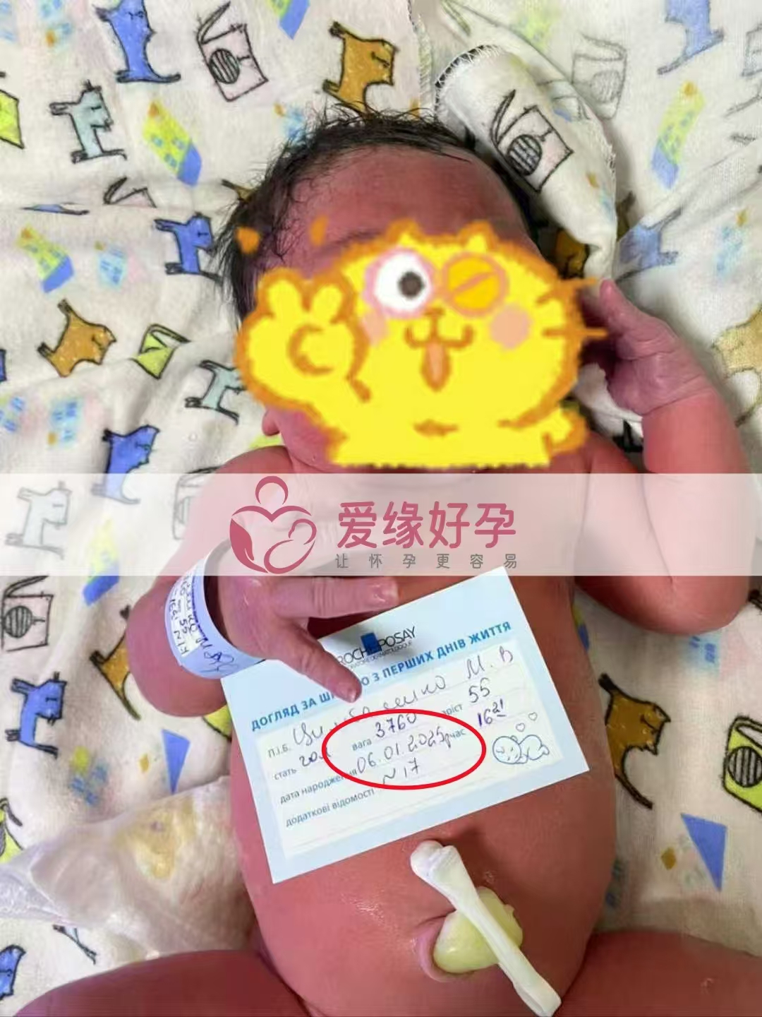 乌克兰代孕代母顺利生下小公主一枚