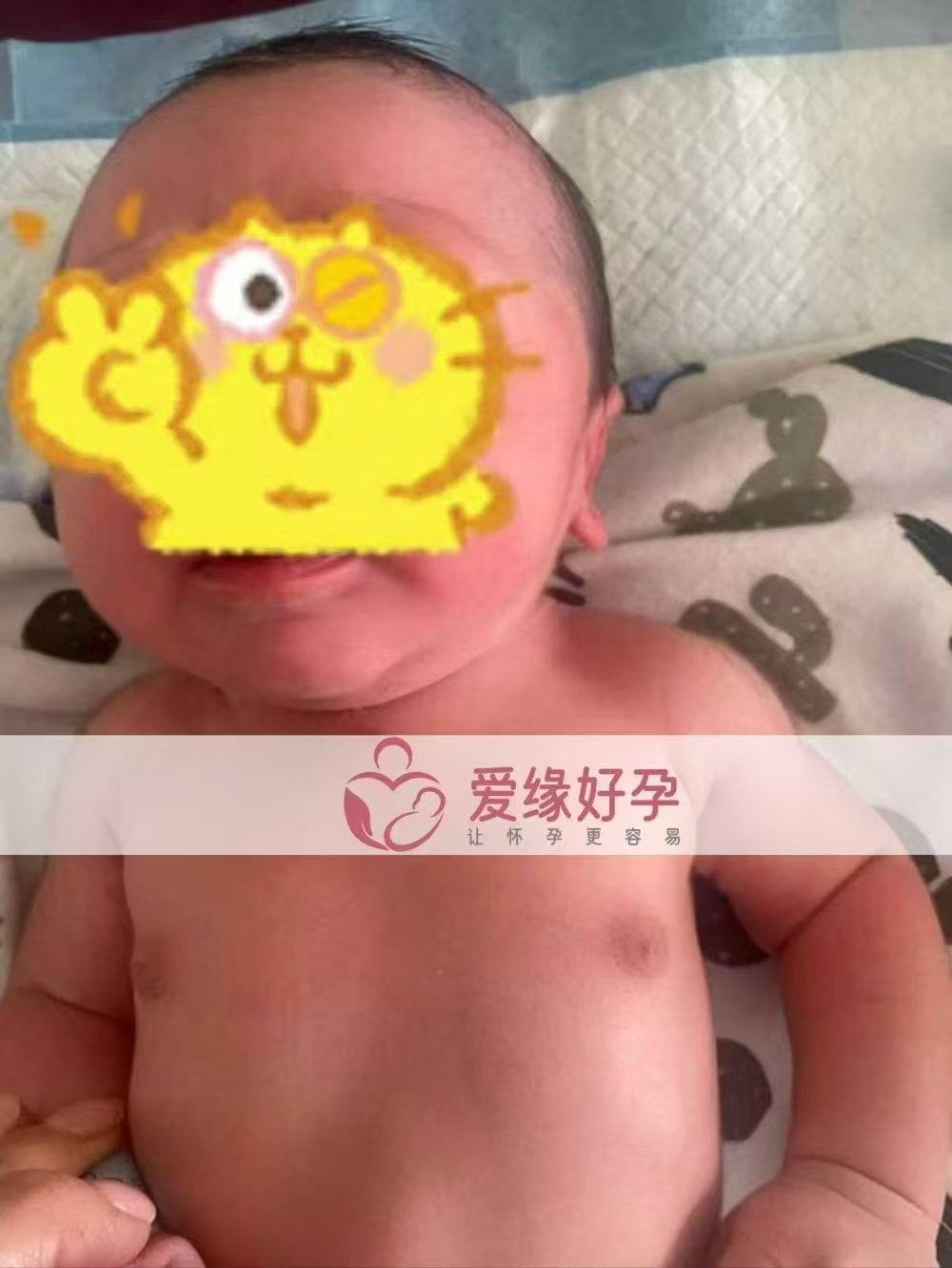 乌克兰代孕代母顺产一枚小王子