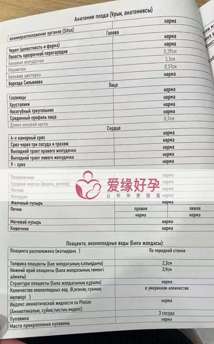 哈萨克斯坦代孕代母孕27周产检顺利通过