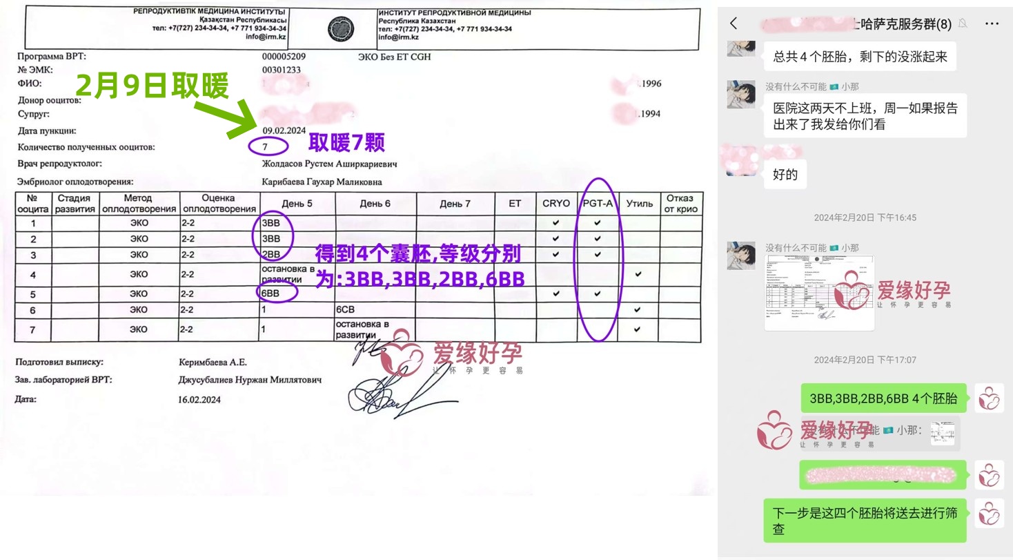 北京夫妇哈萨克斯坦代孕11个月成功得子 | 成功故事