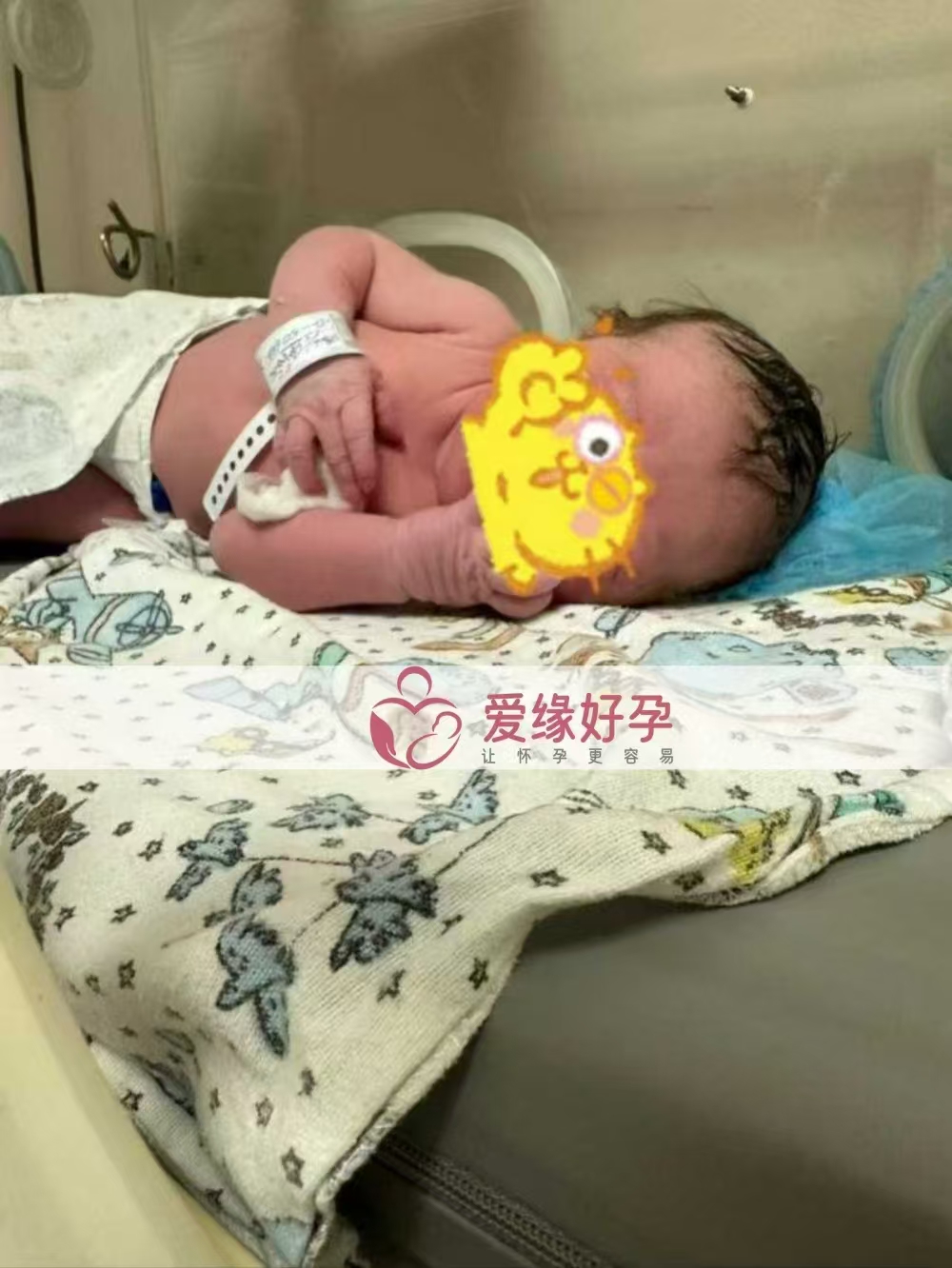 格鲁吉亚代孕代母成功诞下新生命