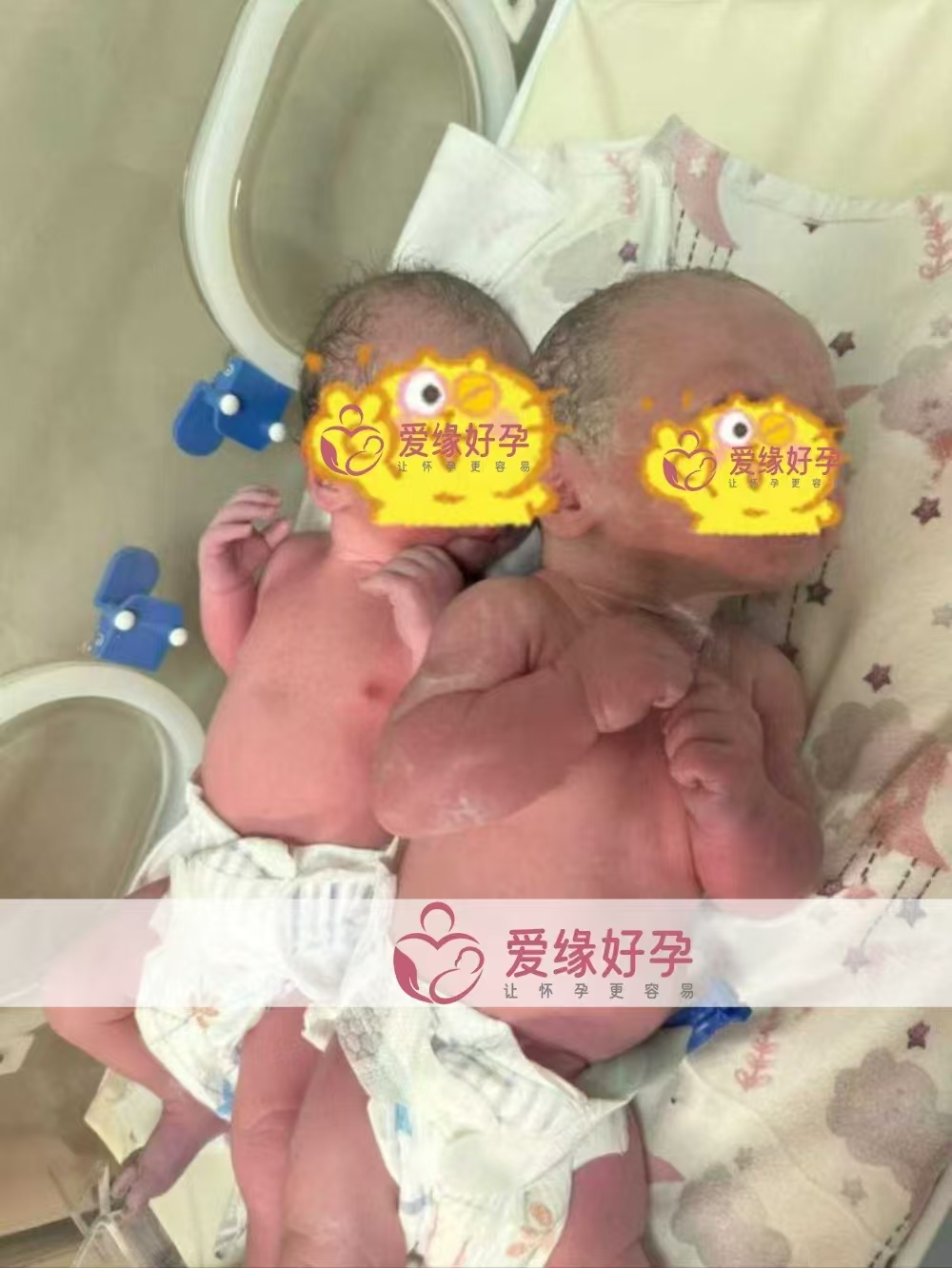 格鲁吉亚代孕代孕代母双胞胎儿子顺产诞生