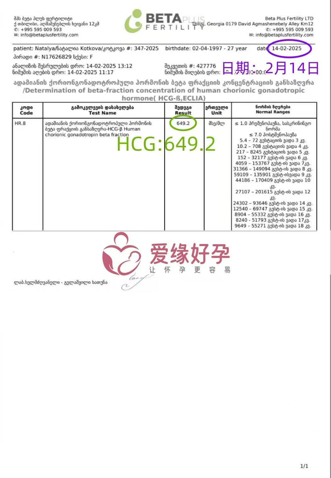 格鲁吉亚代孕代孕代母胚胎成功发芽