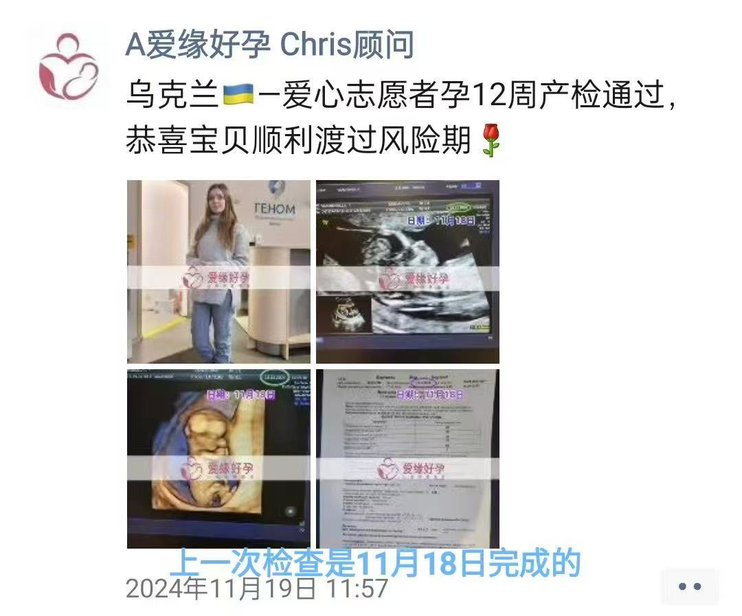 乌克兰代孕代孕代母24周成功通过产检