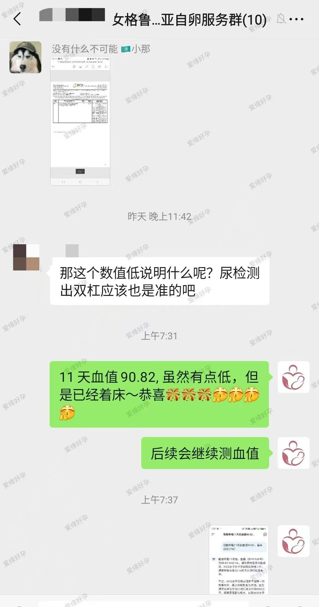 格鲁吉亚代孕代孕代母胚胎着床成功