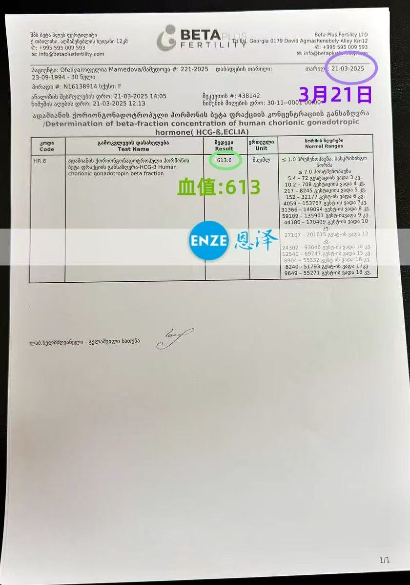 格鲁吉亚代孕代孕代母着床成功