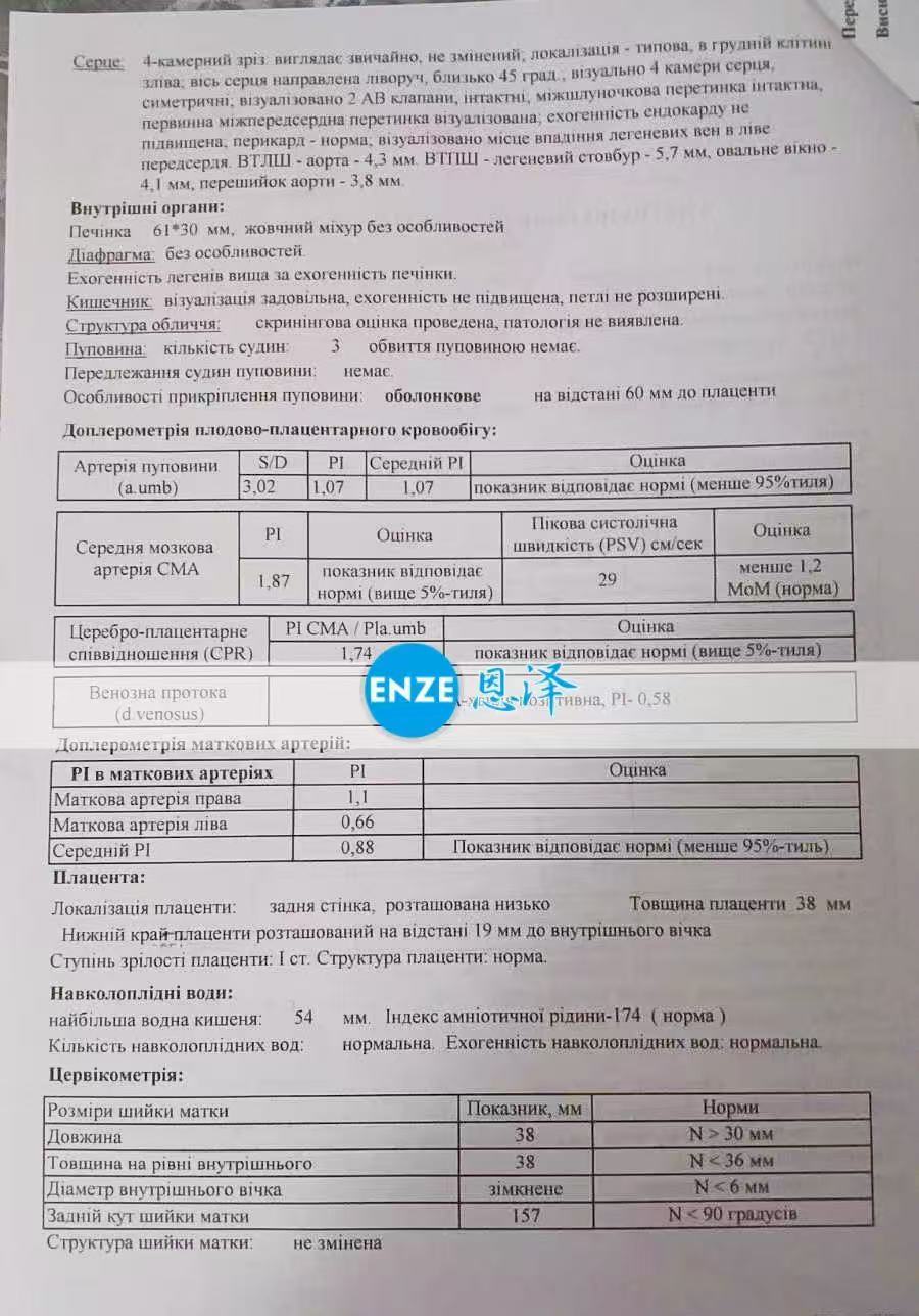 乌克兰代孕代孕代母26周产检顺利过关