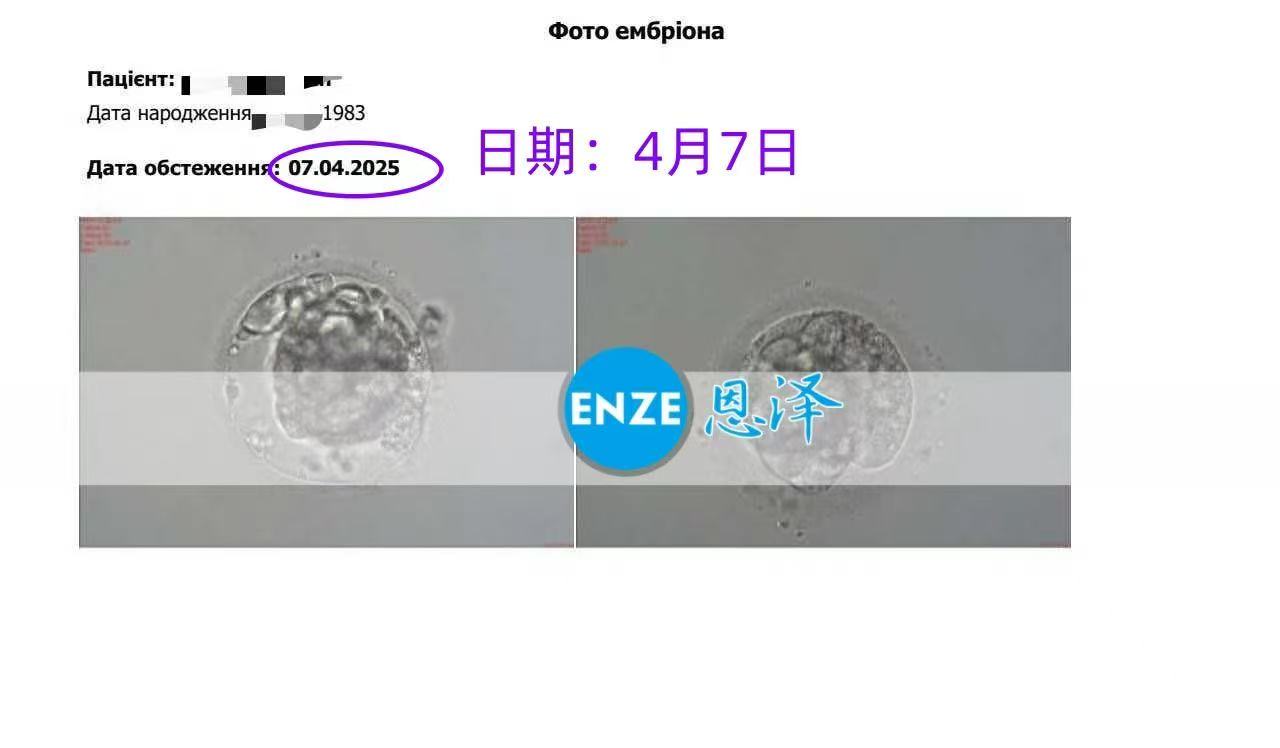 乌克兰代孕代孕代母顺利完成移植