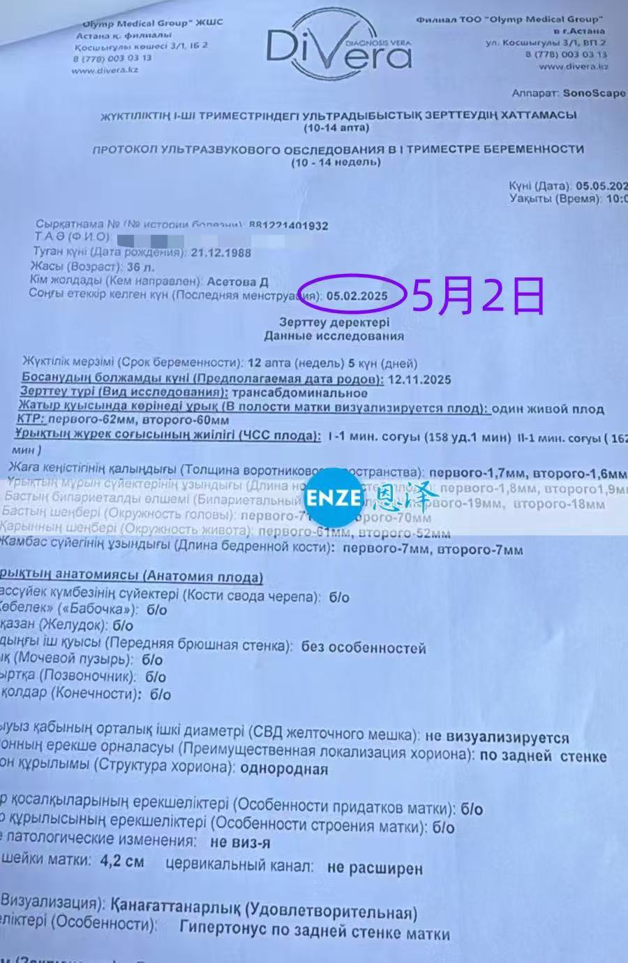 格鲁吉亚代孕代孕代母正式度过风险期