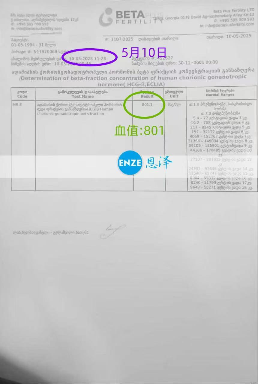 格鲁吉亚代孕代孕代母验孕成功
