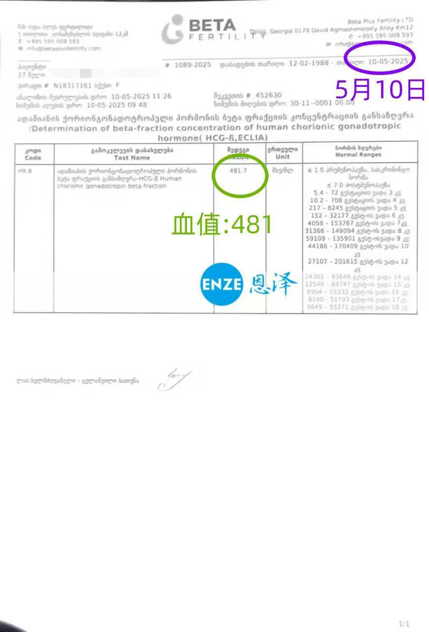 格鲁吉亚代孕代孕代母验孕成功