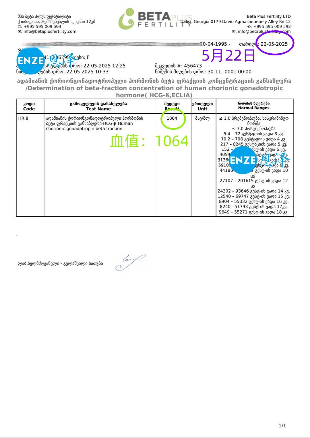 恩泽格鲁吉亚代孕代母验孕成功